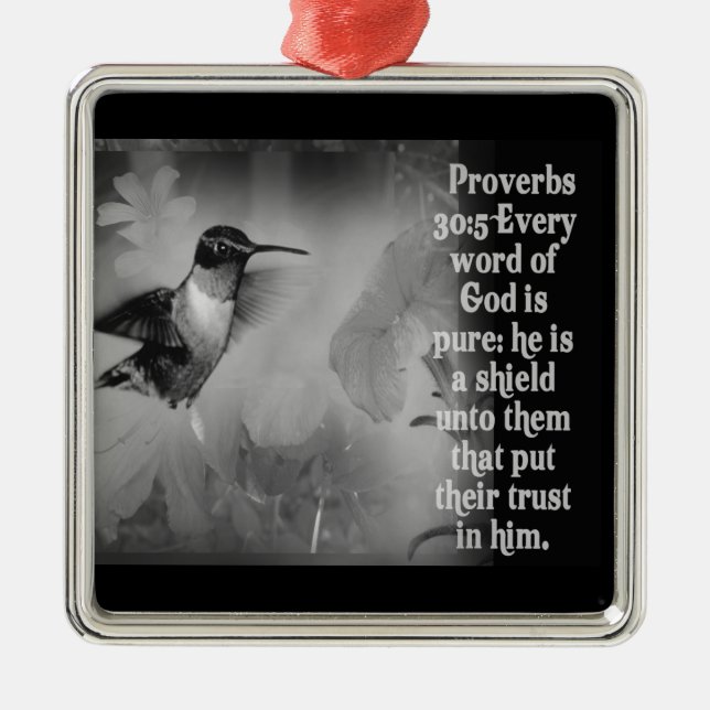 PROVERBS 30:5 ORNAMENT GOD IS A SHIELD (Front)