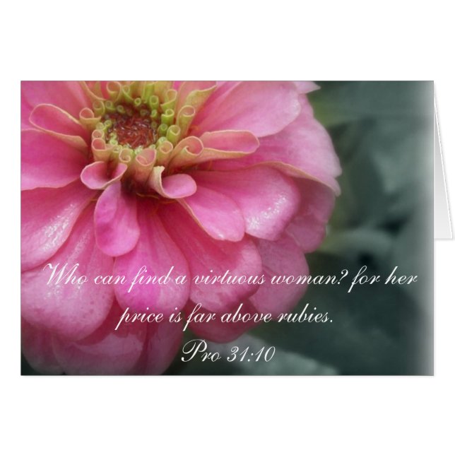 Proverbs 31 Collection ~ Pro 31:10 (Front Horizontal)
