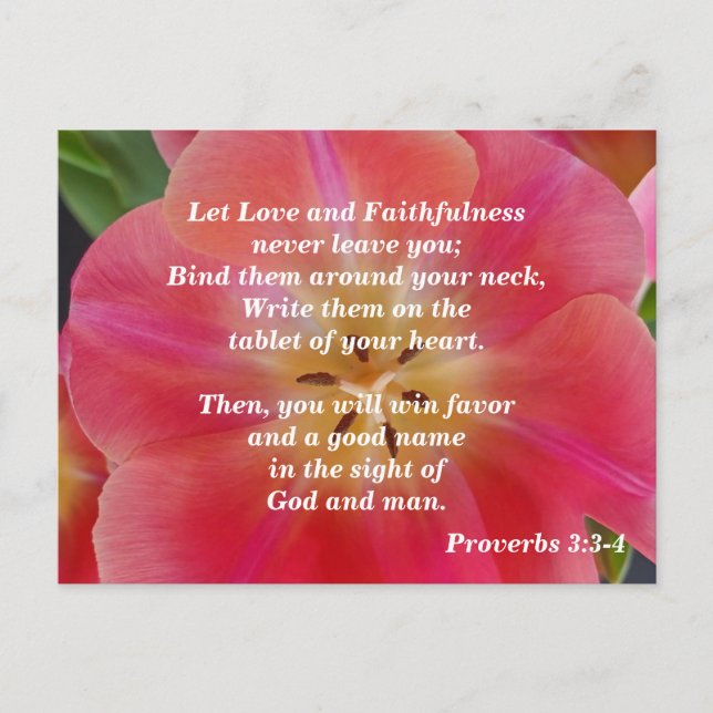Proverbs 3: 3-4 Love and Faithfulness  Postcard (Front)