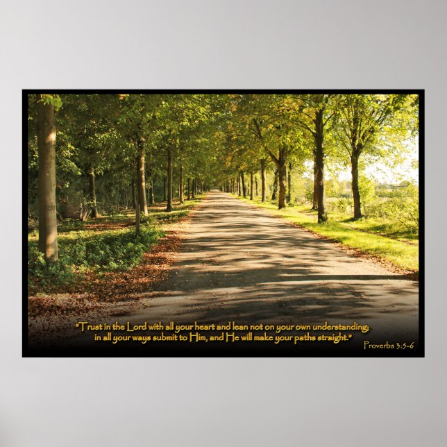 Proverbs 3:5-6 Christian Bible Verse Poster (Front)