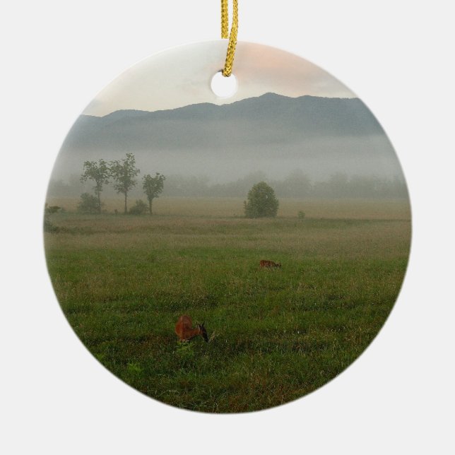 Proverbs 3:5-6 Ornament (Front)