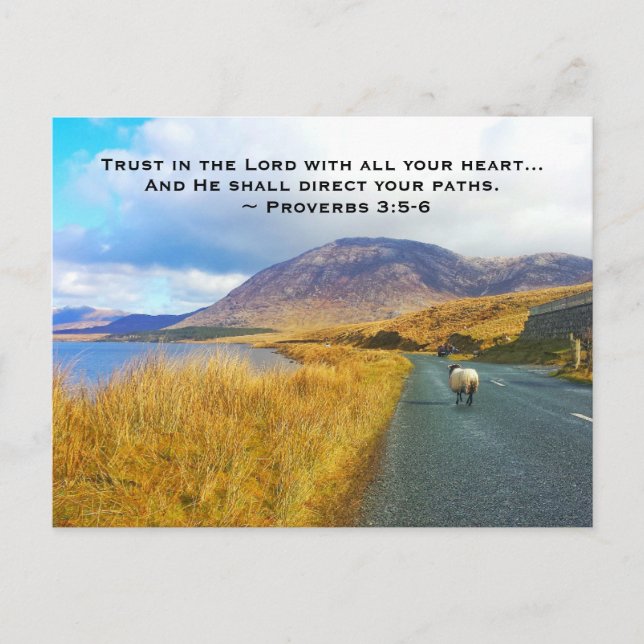 Proverbs 3:5-6 Trust the Lord, Beautiful Ireland Postcard (Front)