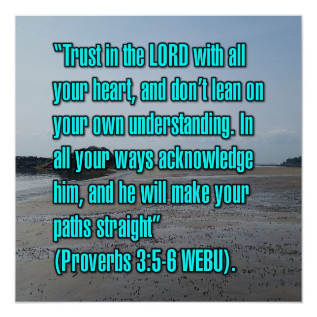 Proverbs 3:5-6 WEBU Poster (Front)