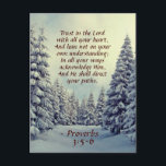 Proverbs 3:5 Trust in the Lord with all your Heart Postcard<br><div class="desc">Inspirational quote Christmas postcard features Bible Verse Proverbs 3:5-6, "Trust in the Lord with all your heart, And lean not on your own understanding; In all your ways acknowledge Him, And He shall direct your paths." The card has a beautiful winter scene with a snowy path lined with snow covered...</div>