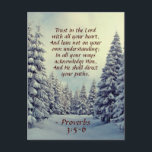Proverbs 3:5 Trust in the Lord with all your Heart Postcard<br><div class="desc">Inspirational quote Christmas postcard features Bible Verse Proverbs 3:5-6, "Trust in the Lord with all your heart, And lean not on your own understanding; In all your ways acknowledge Him, And He shall direct your paths." The card has a beautiful winter scene with a snowy path lined with snow covered...</div>