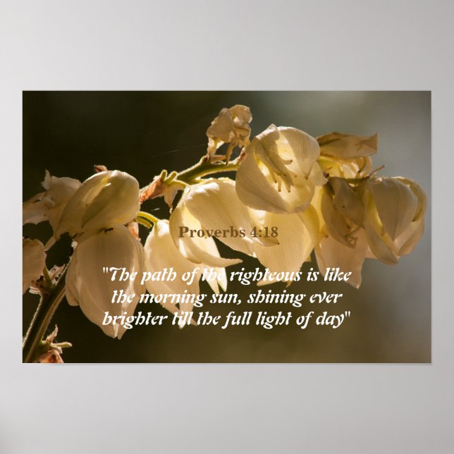 Proverbs 4:18 poster (Front)