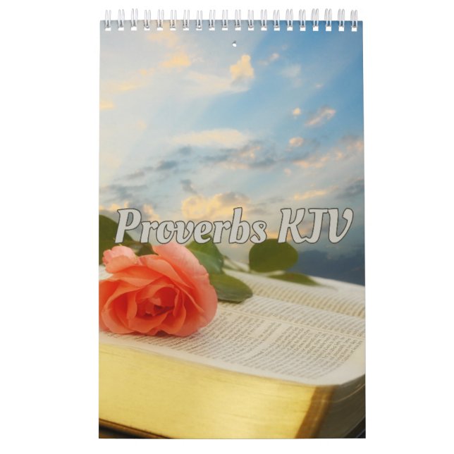 Proverbs Bible Verses Collection Wall Calendar (Cover)