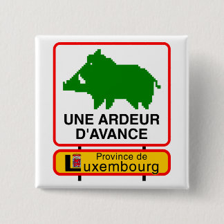 - Province of Luxembourg swipes in a HEAT IN 15 Cm Square Badge