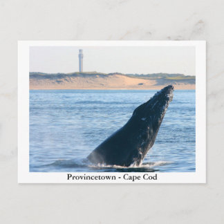 Provincetown - Cape Cod postcard