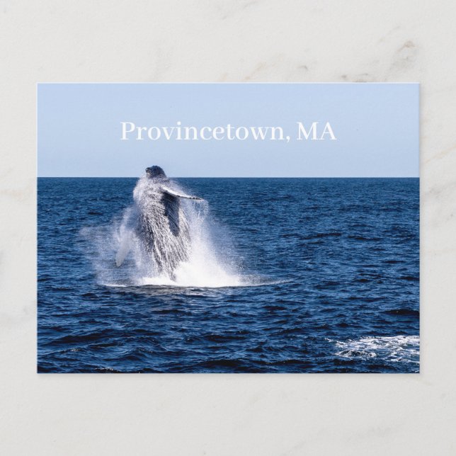 Provincetown Postcard (Front)