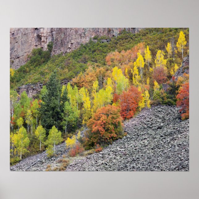 Provo River and aspen trees 10 Poster (Front)