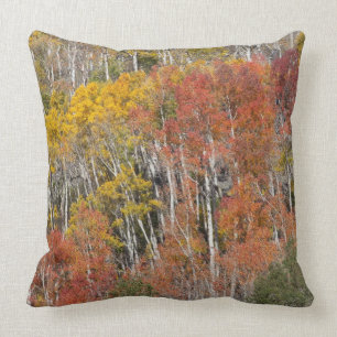 Provo River and aspen trees 15 Cushion