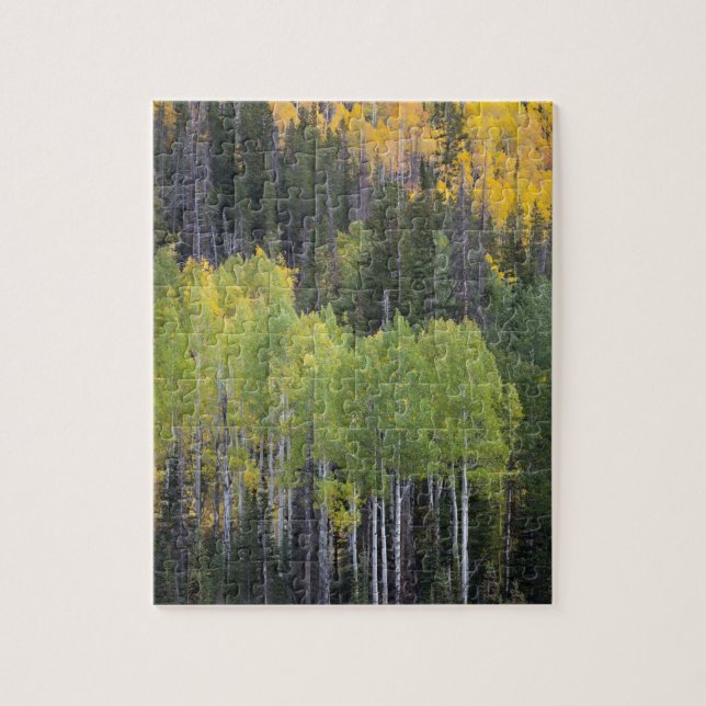 Provo River and aspen trees 2 Jigsaw Puzzle (Vertical)