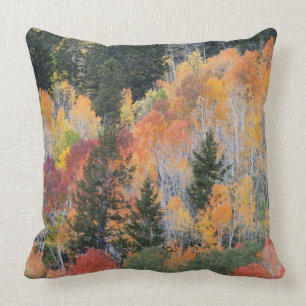 Provo River and aspen trees 4 Cushion