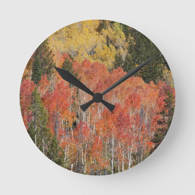 Provo River and aspen trees 6 Round Clock (Front)