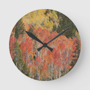 Provo River and aspen trees 6 Round Clock