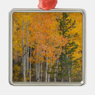 Provo River and aspen trees 7 Metal Tree Decoration