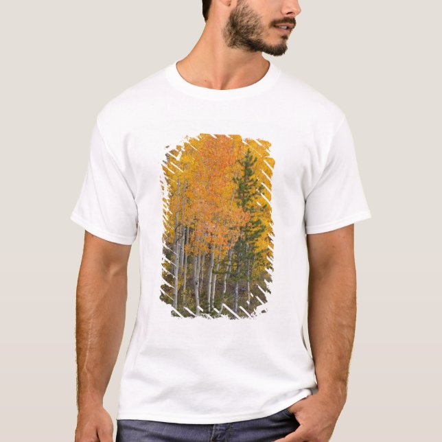 Provo River and aspen trees 7 T-Shirt (Front)