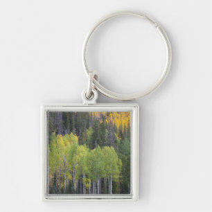 Provo River and aspen trees Key Ring