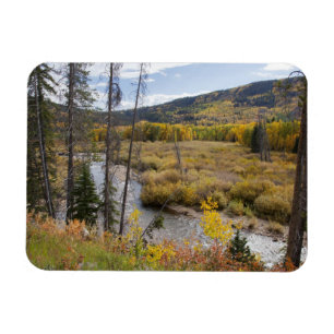 Provo River and aspen trees Magnet