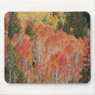 Provo River and aspen trees Mouse Mat