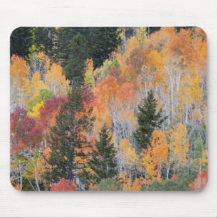 Provo River and aspen trees Mouse Mat
