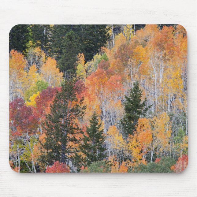 Provo River and aspen trees Mouse Mat (Front)
