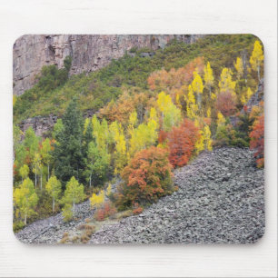 Provo River and aspen trees Mouse Mat