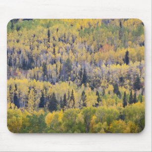 Provo River and aspen trees Mouse Mat