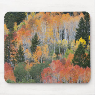 Provo River and aspen trees Mouse Mat