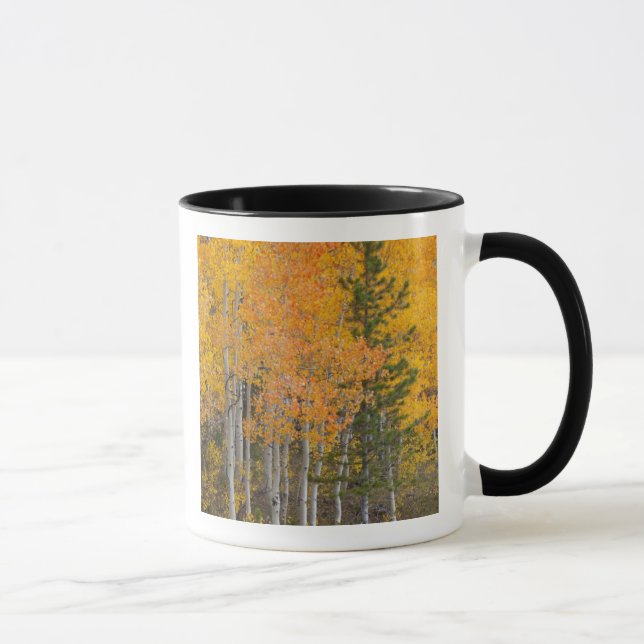 Provo River and aspen trees Mug (Right)