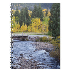 Provo River and aspen trees Notebook