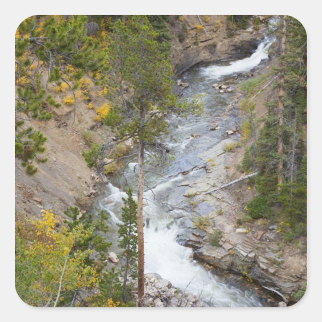 Provo River and aspen trees Square Sticker (Front)
