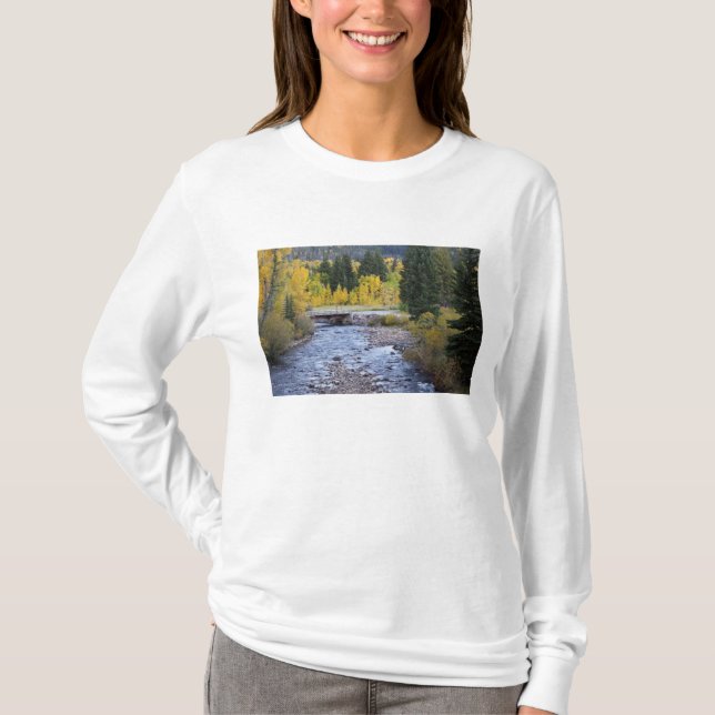 Provo River and aspen trees T-Shirt (Front)