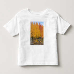 Provo River and aspen trees Toddler T-Shirt
