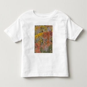 Provo River and aspen trees Toddler T-Shirt