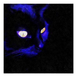 Prowling Black Cat Animal Pose Acrylic Art Poster