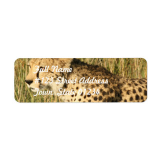 Prowling Cheetah Mailing Label