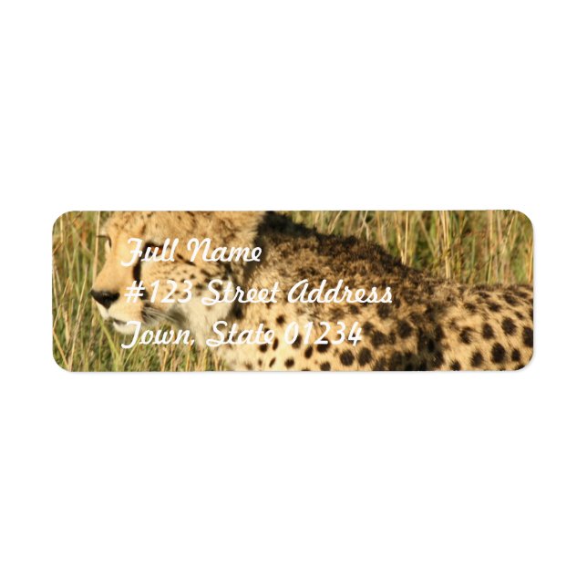 Prowling Cheetah Mailing Label (Front)