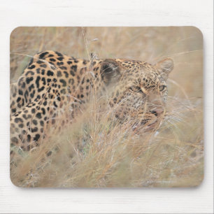 Prowling Leopard Hiding in Grassland Mouse Mat