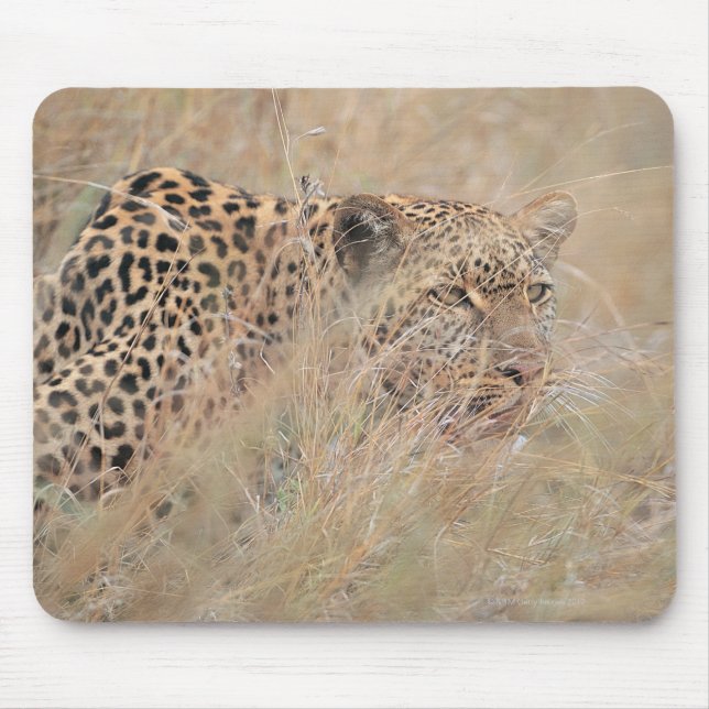 Prowling Leopard Hiding in Grassland Mouse Mat (Front)