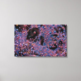 Proxima Canvas Print