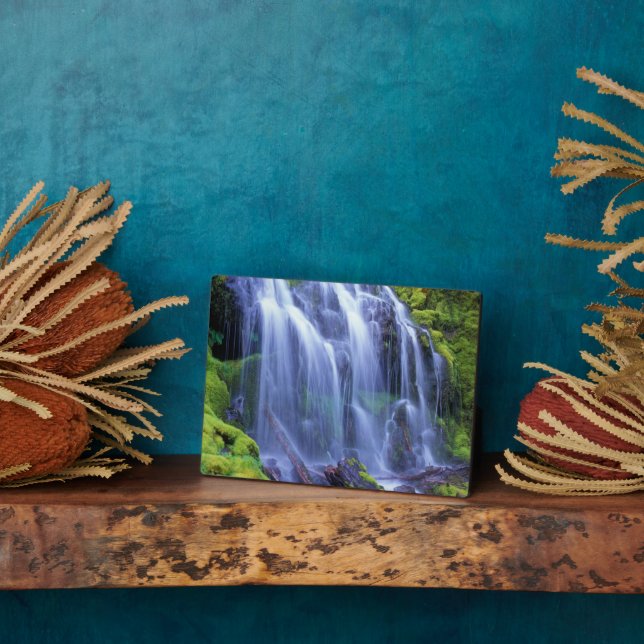 Proxy Falls in Oregon's Central Cascade Mountains Plaque (Side)