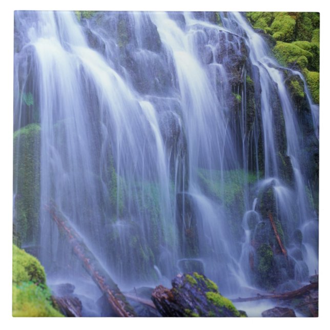 Proxy Falls in Oregon's Central Cascade Mountains Tile (Front)
