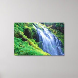 Proxy Falls in the central Oregon Cascades. Canvas Print
