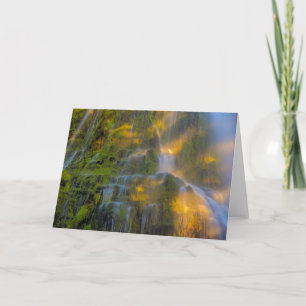 Proxy Falls Three Sisters Wilderness Oregon Card