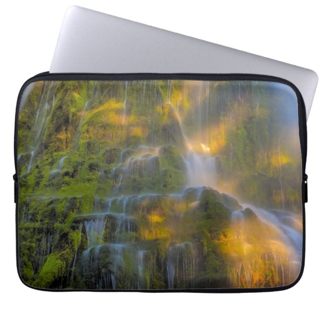 Proxy Falls Three Sisters Wilderness Oregon Laptop Sleeve (Front)