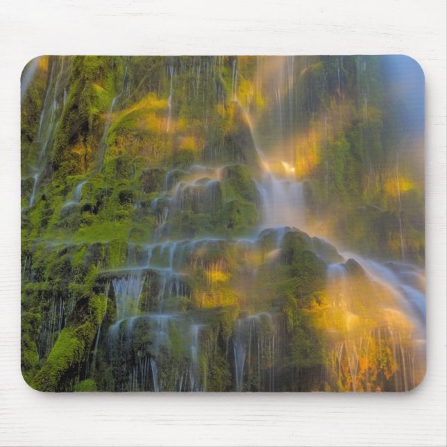 Proxy Falls Three Sisters Wilderness Oregon Mouse Mat (Front)
