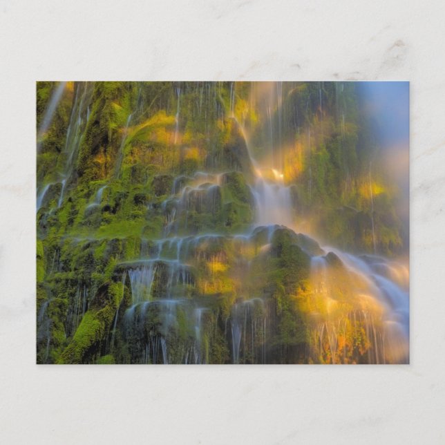 Proxy Falls Three Sisters Wilderness Oregon Postcard (Front)