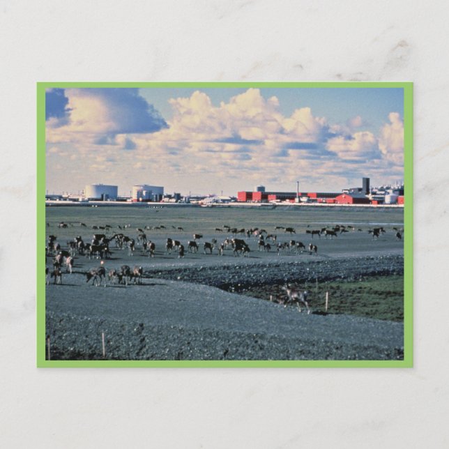 Prudhoe Bay, Alaska Postcard (Front)